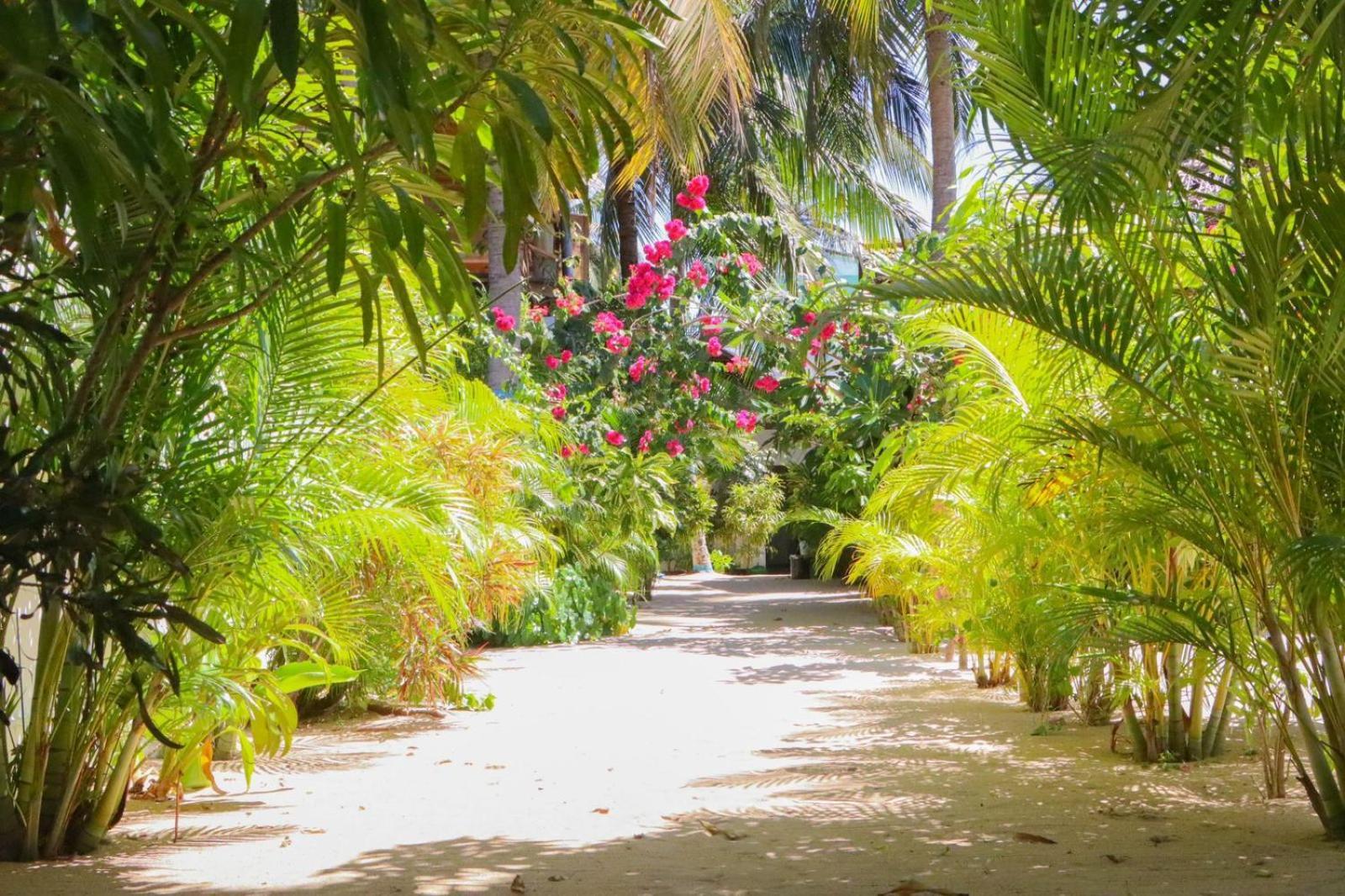 Hotel Lucky Bay Arugam Bay Exterior foto